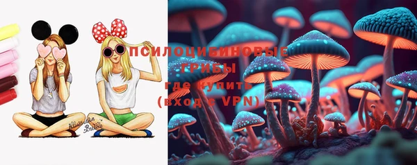 PSILOCYBIN Богородск